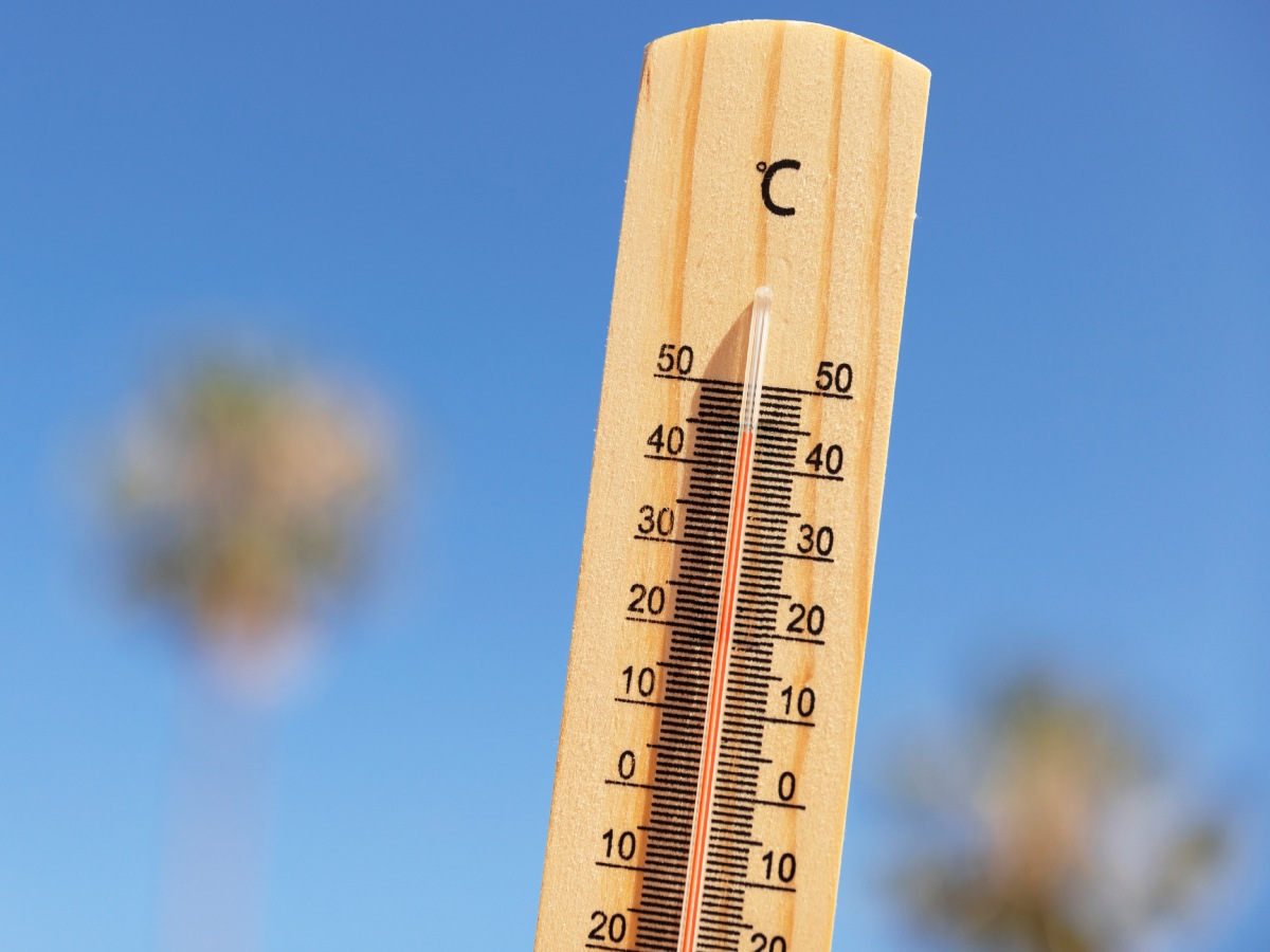 Pronóstico climático 2026: temperaturas históricamente altas según expertos internacionales