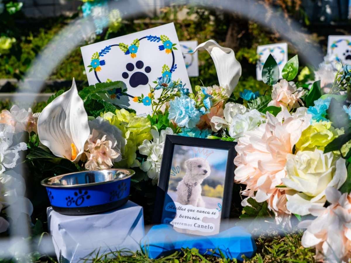 San Salvador inaugura cementerio municipal para mascotas en La Bermeja con opciones accesibles y dignas