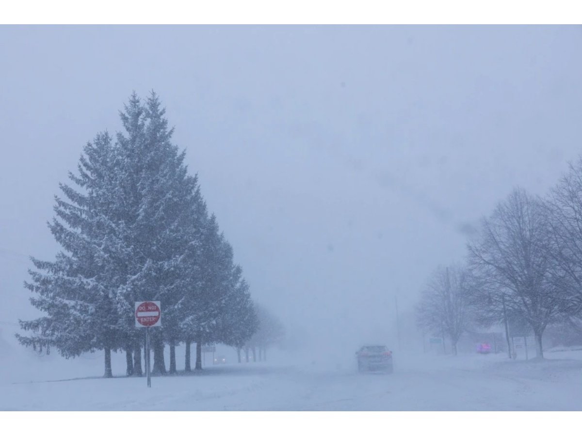Una tormenta invernal podría causar daños generalizados en el sur de Estados Unidos este fin de semana