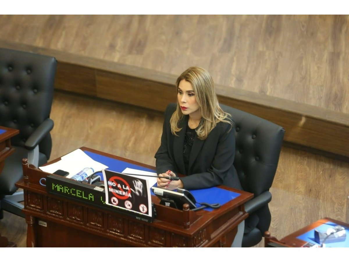 Diputada Marcela Villatoro recibe medidas cautelares por acoso en redes sociales