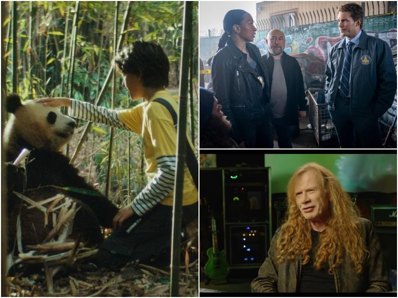 Cartelera cinematográfica en El Salvador presenta nuevas propuestas de acción y documental musical Cartelera cinematográfica en El Salvador presenta nuevas propuestas de acción y documental musical