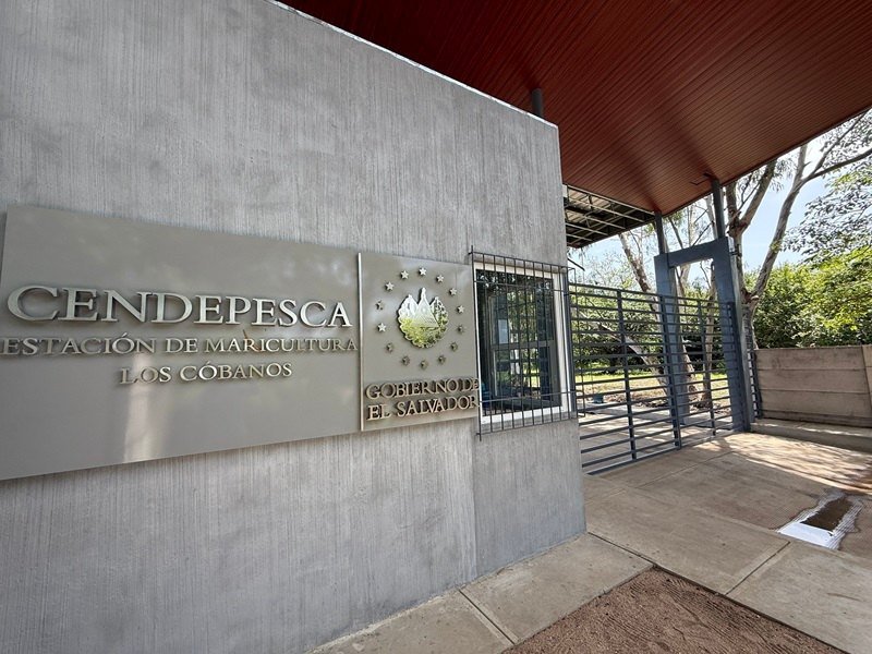 Gobierno impulsa creación de ASEA para modernizar gestión de pesca y acuicultura en El Salvador