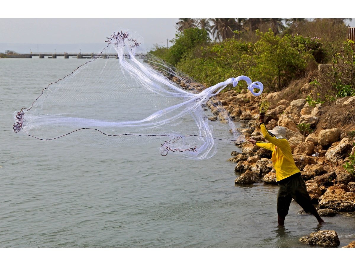 El Salvador transfiere autoridad nacional de pesca de Agricultura a Ministerio de Economía