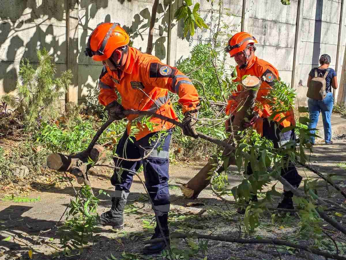 Protección Civil reporta más de 50 daños por fuertes vientos en El Salvador durante enero