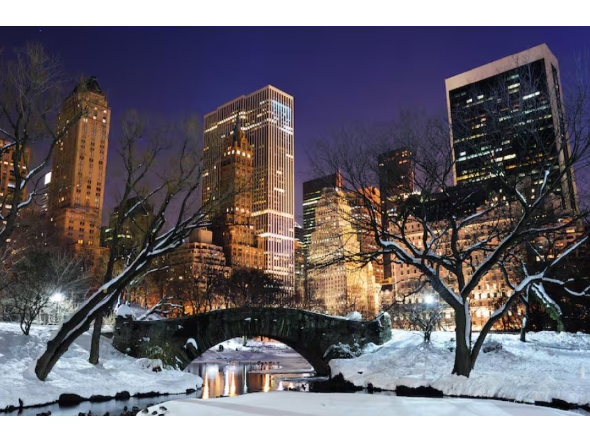 Nueva York declara estado de emergencia ante intensa tormenta invernal que afectará el noreste de EE.UU.