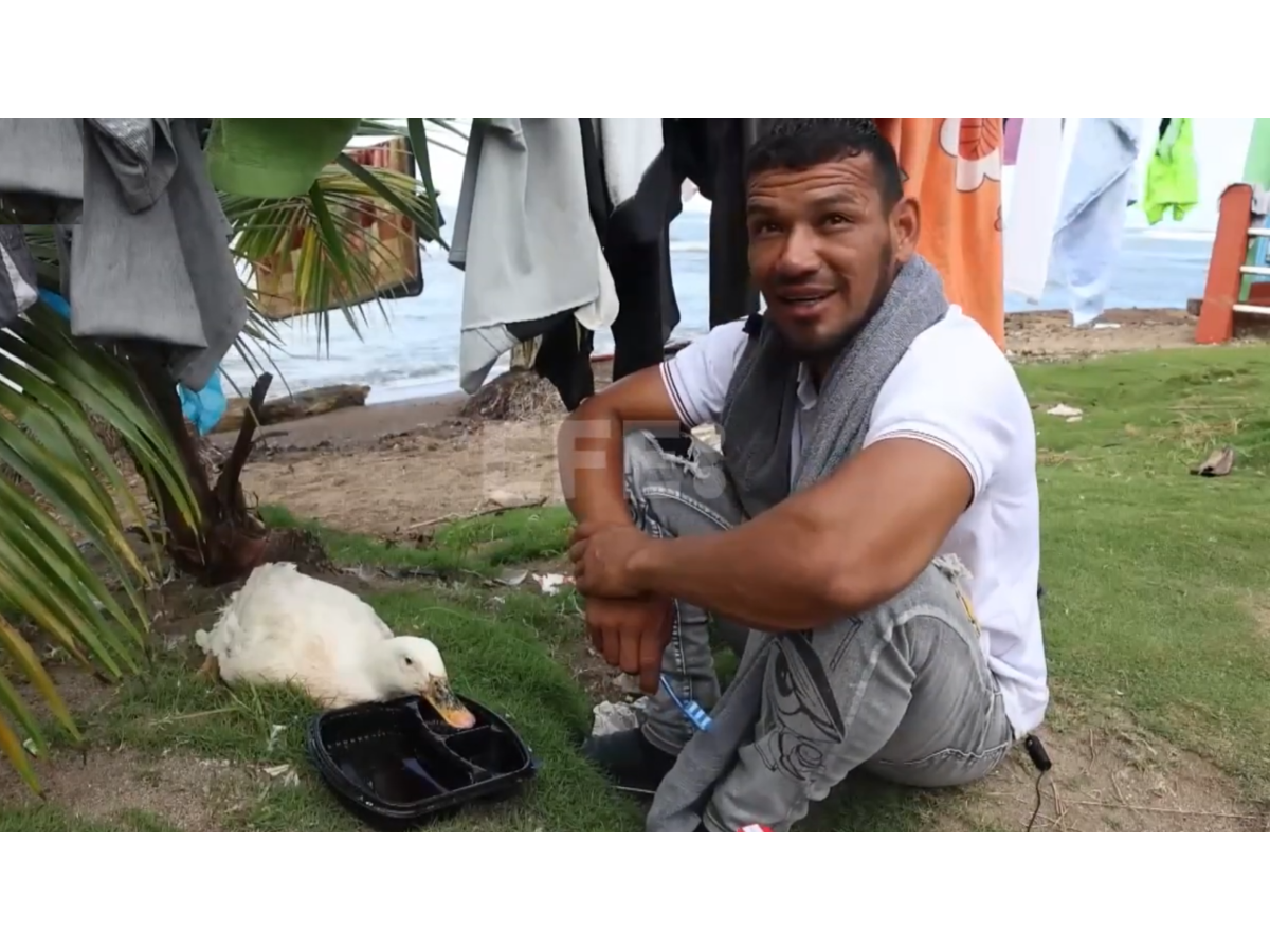 Filomena, la pata que acompaña a un migrante venezolano en su retorno por tierra y mar