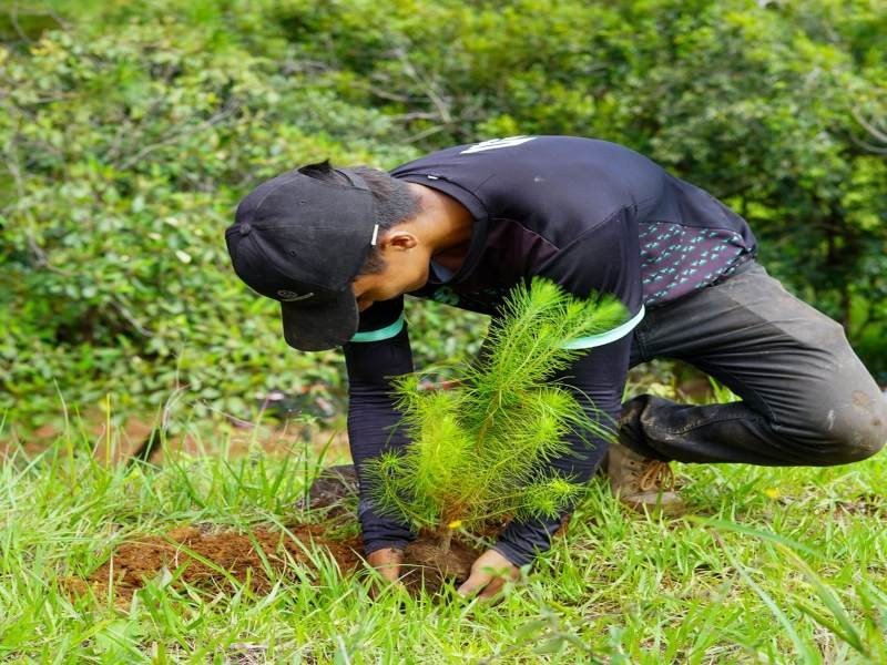Proyecto RECLIMA restaura más de 2,600 hectáreas en La Unión Norte para fortalecer resiliencia climática