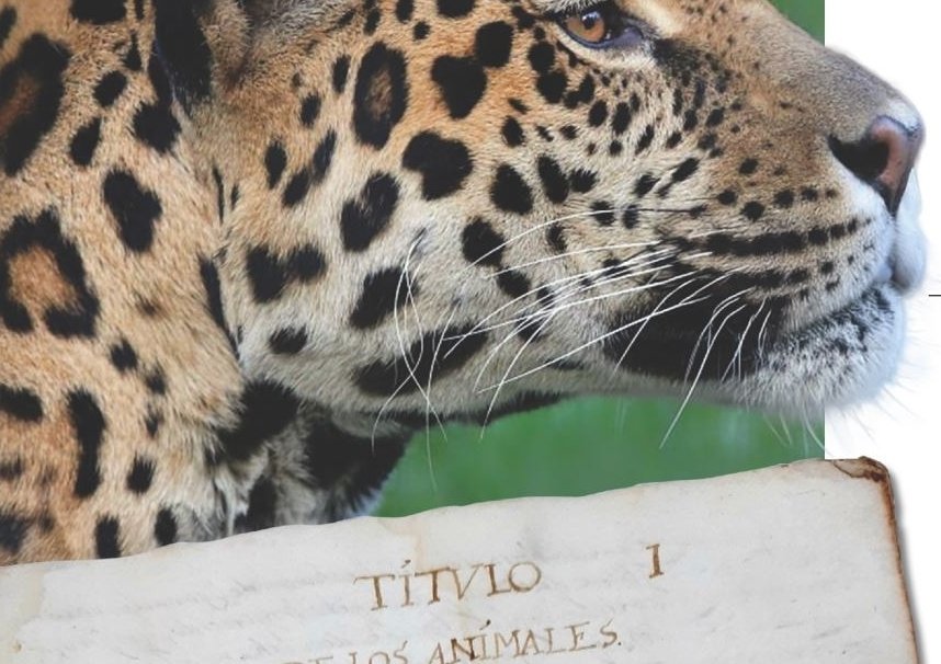 Reinterpretación científica revela la riqueza natural del manuscrito de Fray Francisco Ximénez de 1722
