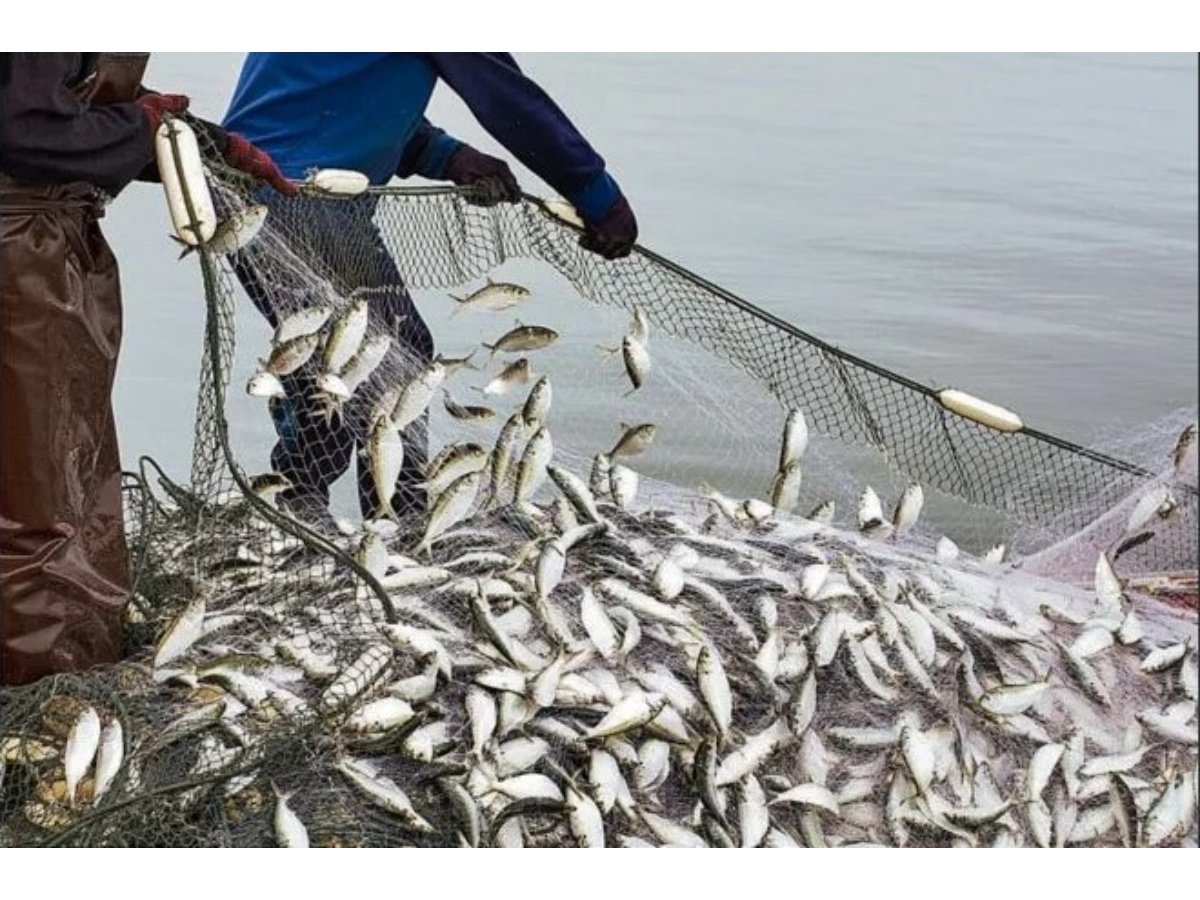Pescadores Artesanales en El Salvador Esperan Impulso con Nueva Autoridad de Economía Azul