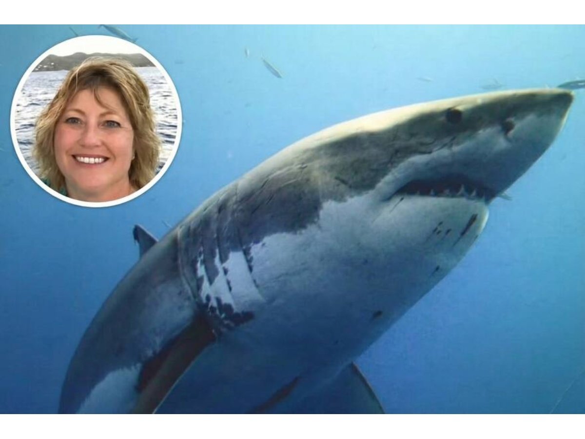 Mujer de Minnesota fallece tras ataque de tiburón en las Islas Vírgenes de EE. UU.