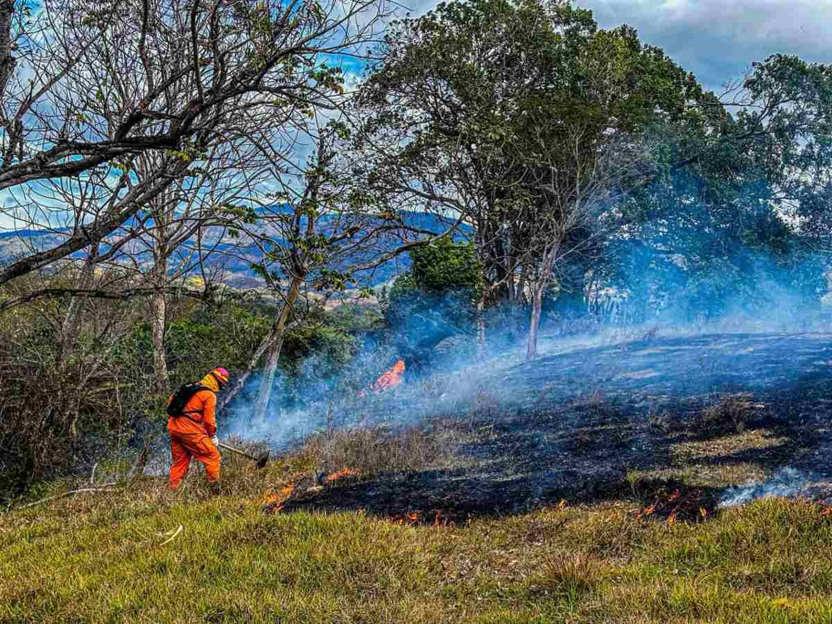 Incendios en El Salvador aumentan 57 % en 2026 y autoridades llaman a la prevención