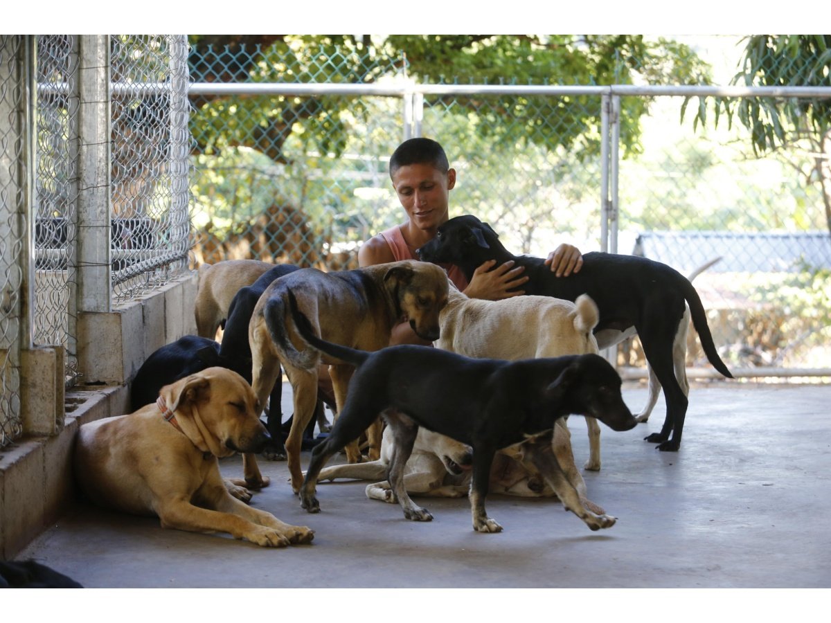 The ImPAWssible Village: Santuario en Mizata que transforma vidas de perros abandonados