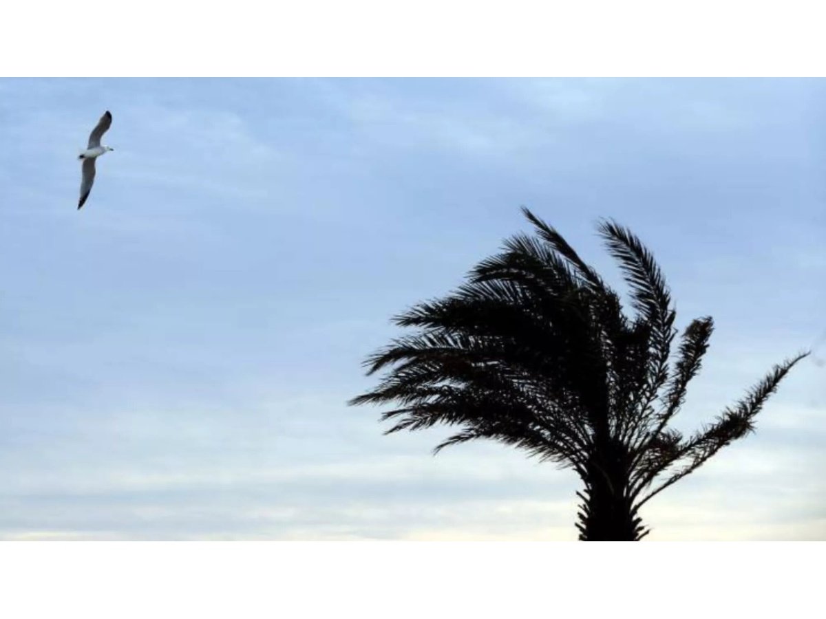 Nuevo sistema de vientos nortes ingresará a El Salvador este viernes 30 de enero