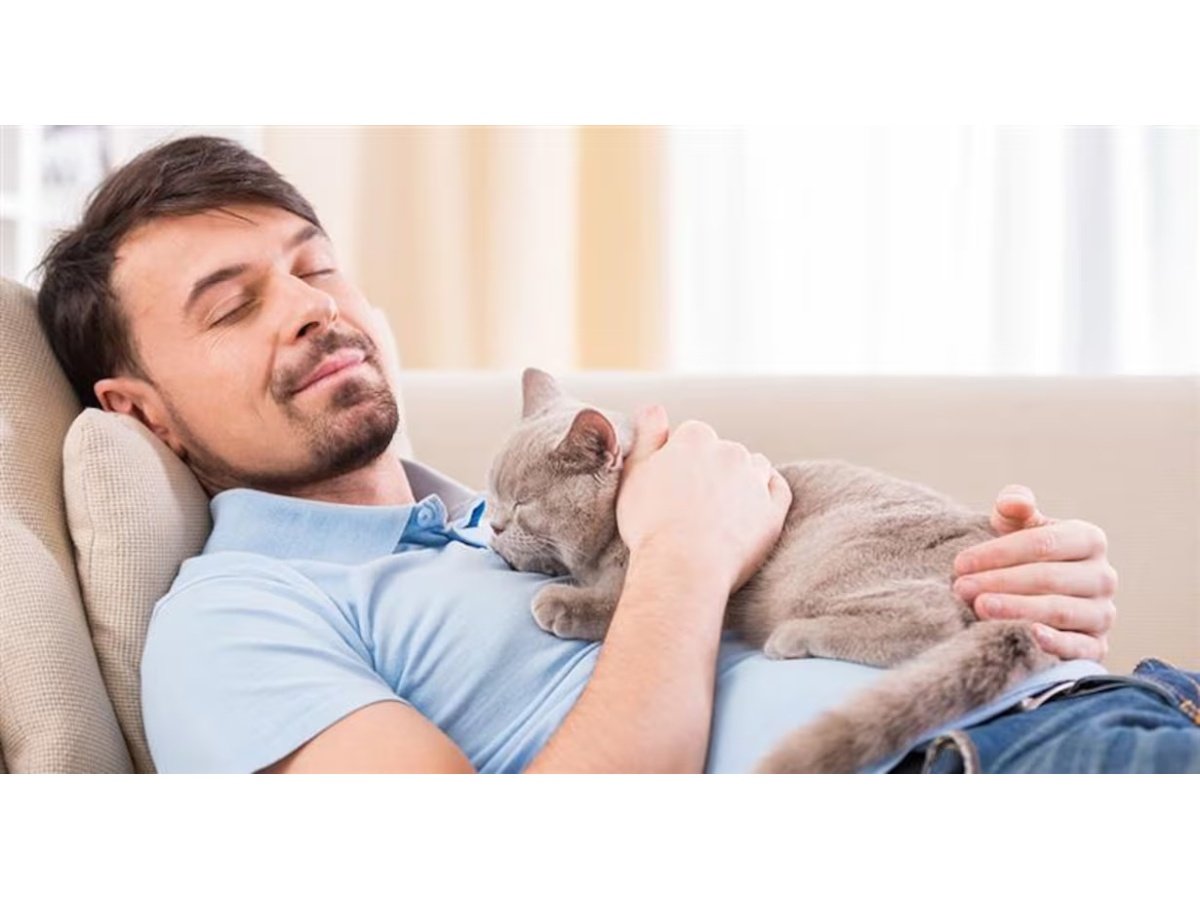 Explicación científica del porqué los gatos duermen sobre sus dueños