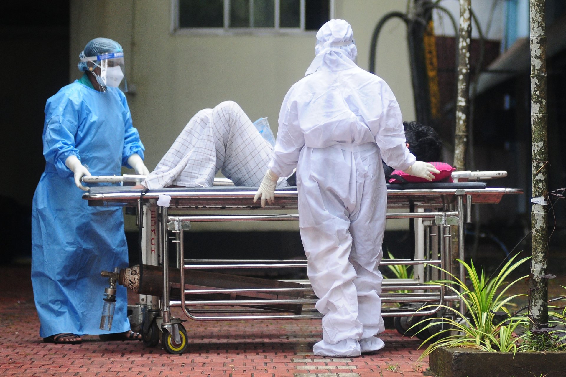 OMS evalúa riesgo de propagación del virus Nipah tras brote en India