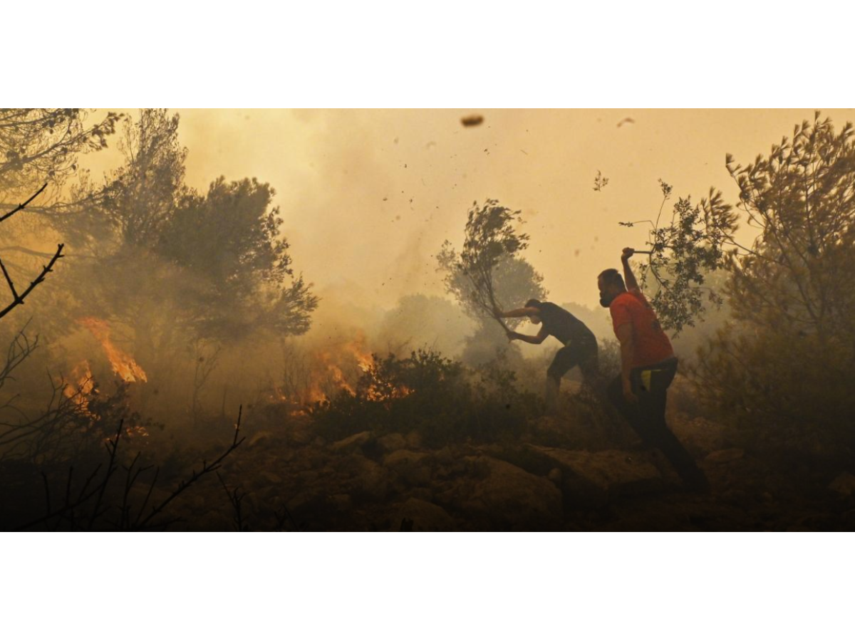 Protección Civil activa alerta amarilla por aumento de incendios forestales en El Salvador