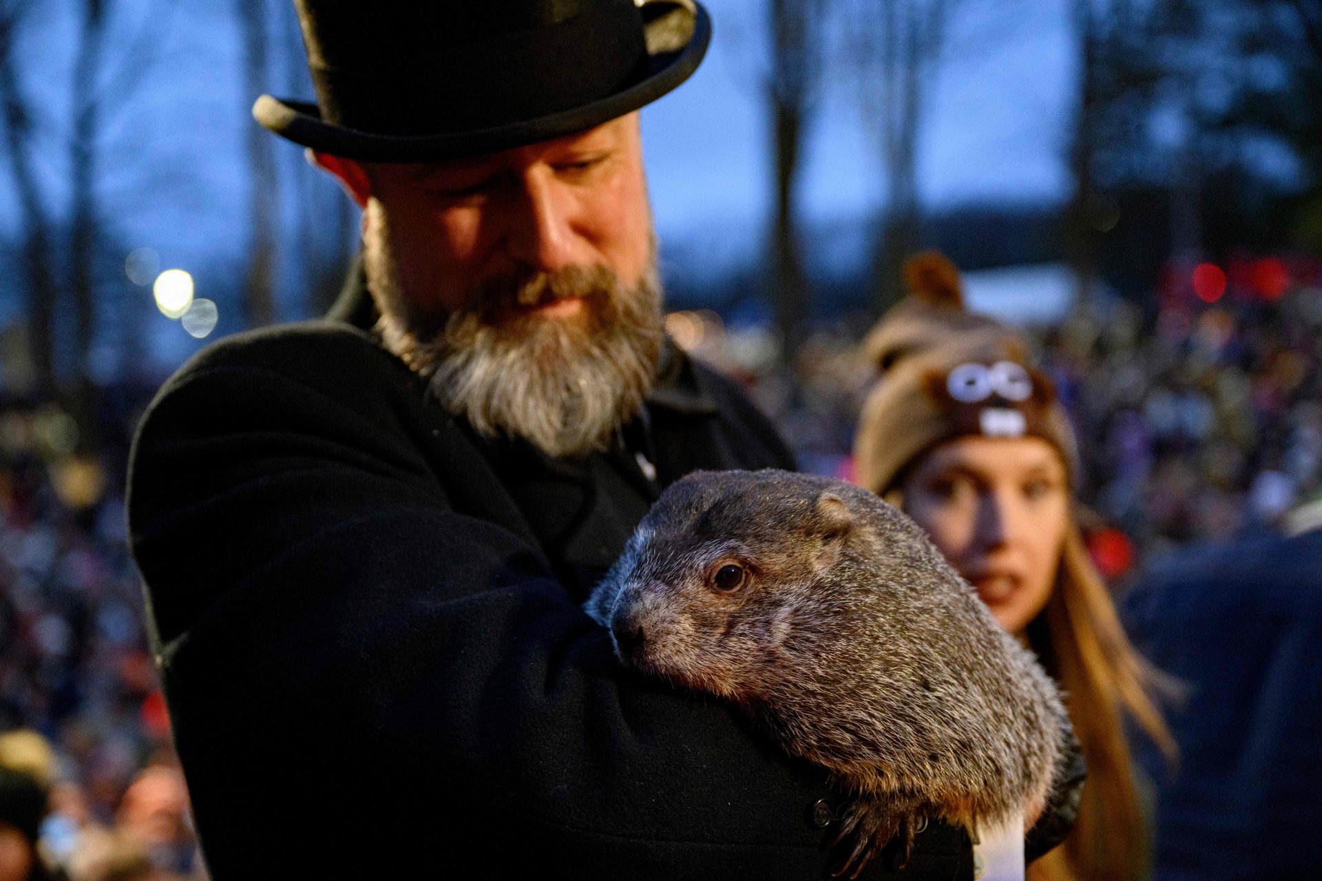 Tradición de la marmota Punxsutawney Phil y su pronóstico para el invierno en EE. UU.