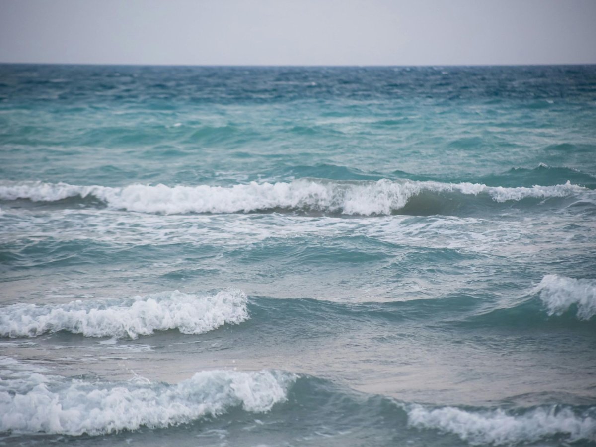 Precauciones por mareas vivas y condiciones marítimas en la costa de El Salvador del 2 al 5 de febrero