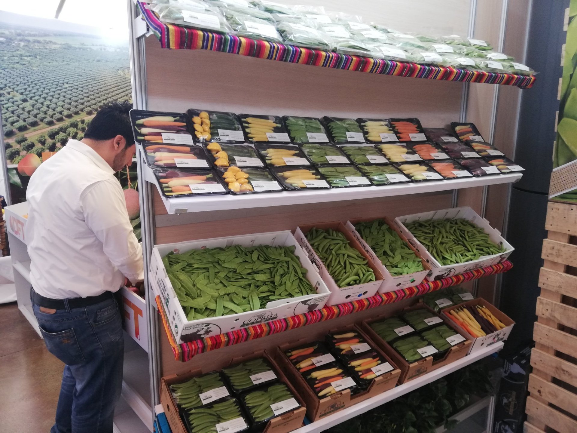 Acuerdo arancelario con EE. UU. genera certidumbre pero exportadores demandan inclusión de productos agrícolas