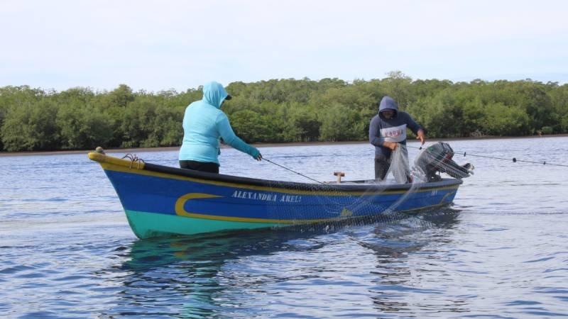 Autoridad Salvadoreña de Economía Azul: funciones y retos en la gestión pesquera y acuícola