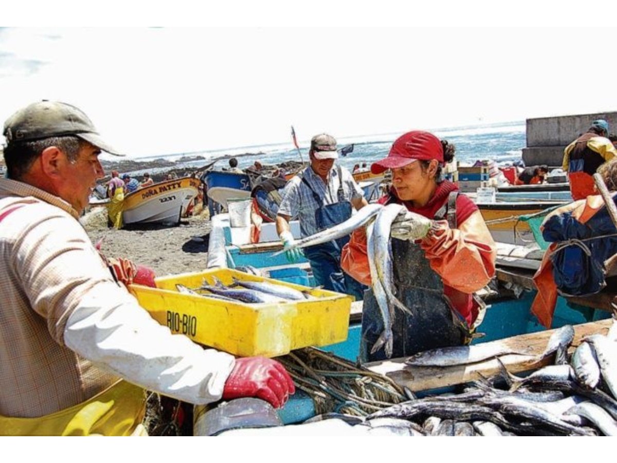 Asamblea Legislativa crea Autoridad Salvadoreña de Economía Azul para regular pesca y acuicultura
