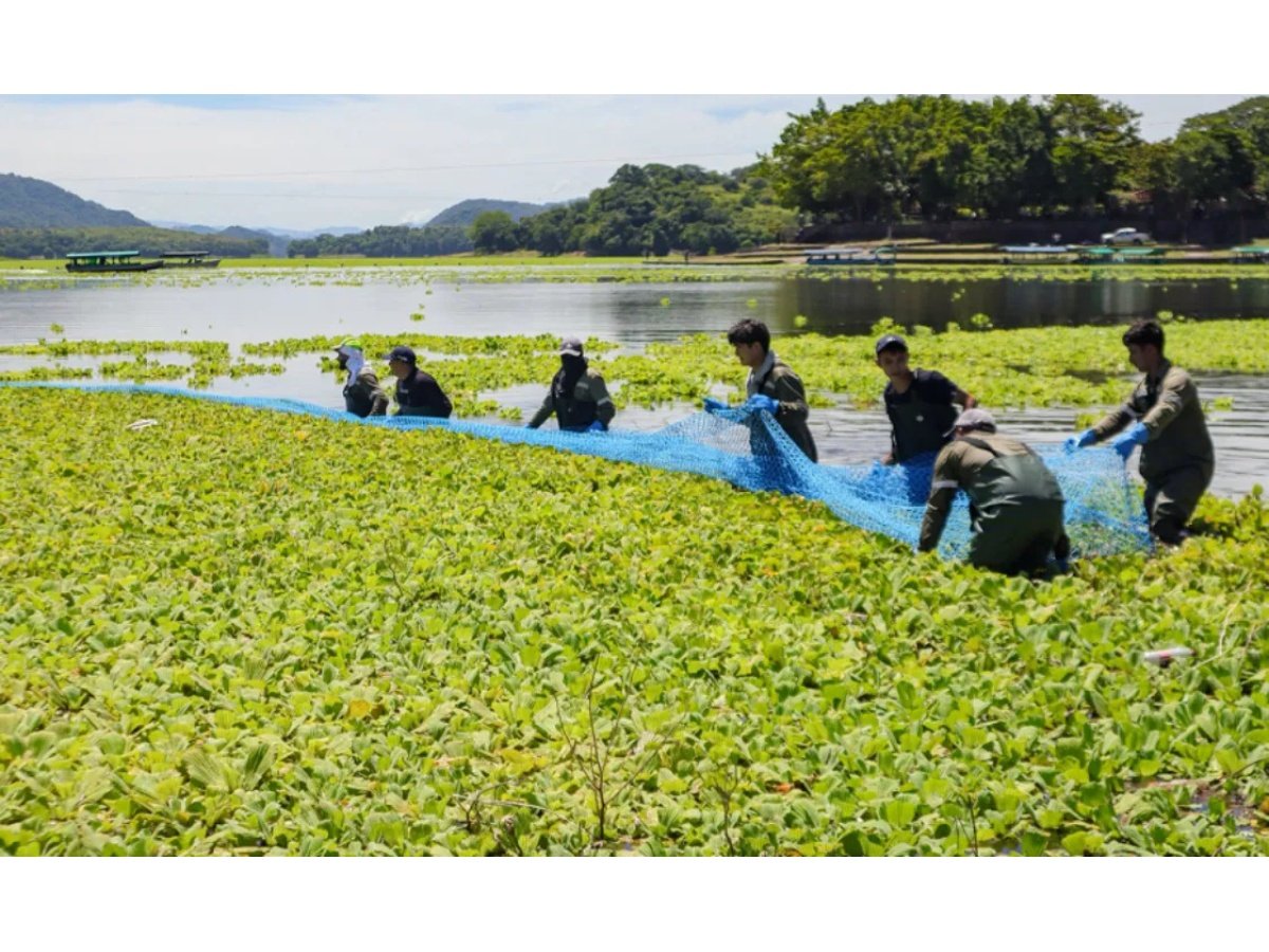 Ministerio de Obras Públicas retira 238.8 toneladas de basura del lago Suchitlán en esfuerzo ambiental