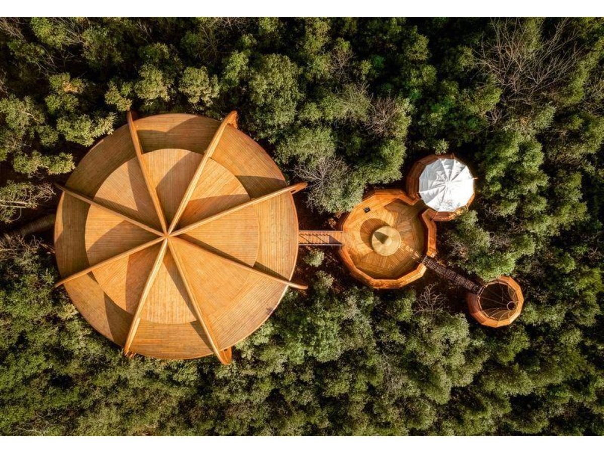 Las 10 casas en árboles más impresionantes del mundo: diseño, naturaleza y sostenibilidad