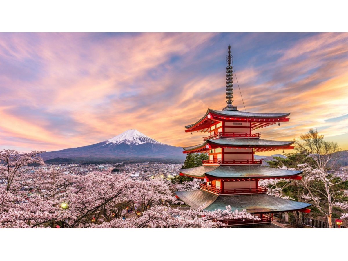 Cancelan el festival anual de los cerezos en Japón por problemas con el turismo masivo