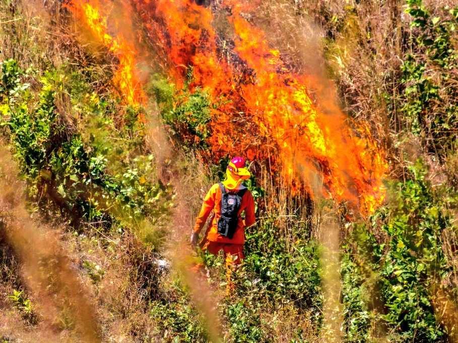 Cuerpo de Bomberos reporta 1,378 incendios y alerta por aumento en El Salvador en 2026