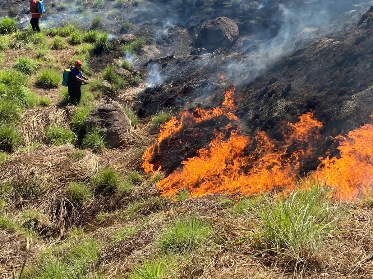 Incendios forestales en La Unión Norte aumentan 40 % y afectan más de 800 hectáreas en 2026