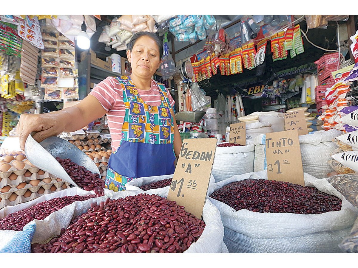 FAO y PMA se integran al plan nacional para impulsar la producción agrícola en El Salvador
