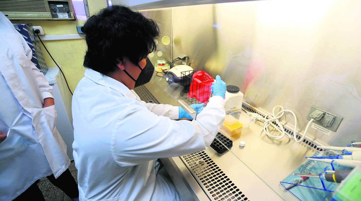 Incrementan hospitalizaciones por influenza A en Guatemala; cepa H3N2 es predominante