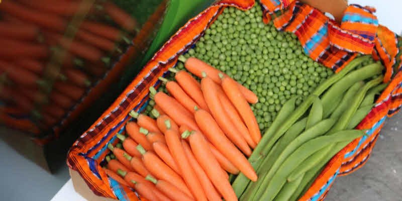 Agexport pide a EE. UU. reconsiderar arancel del 10% a productos guatemaltecos excluidos del acuerdo comercial
