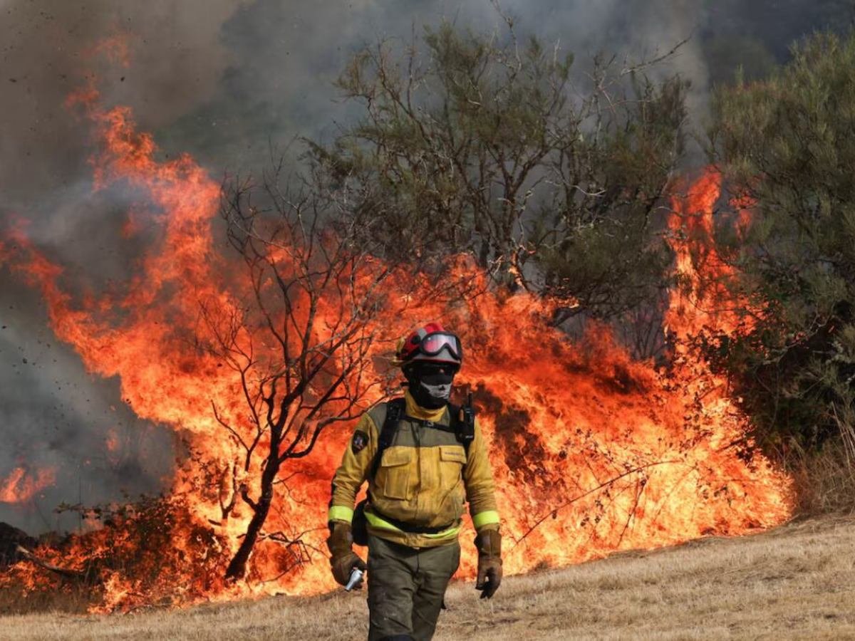 Incendios en El Salvador superan los 1,500 en 2026: análisis y recomendaciones para prevenirlos
