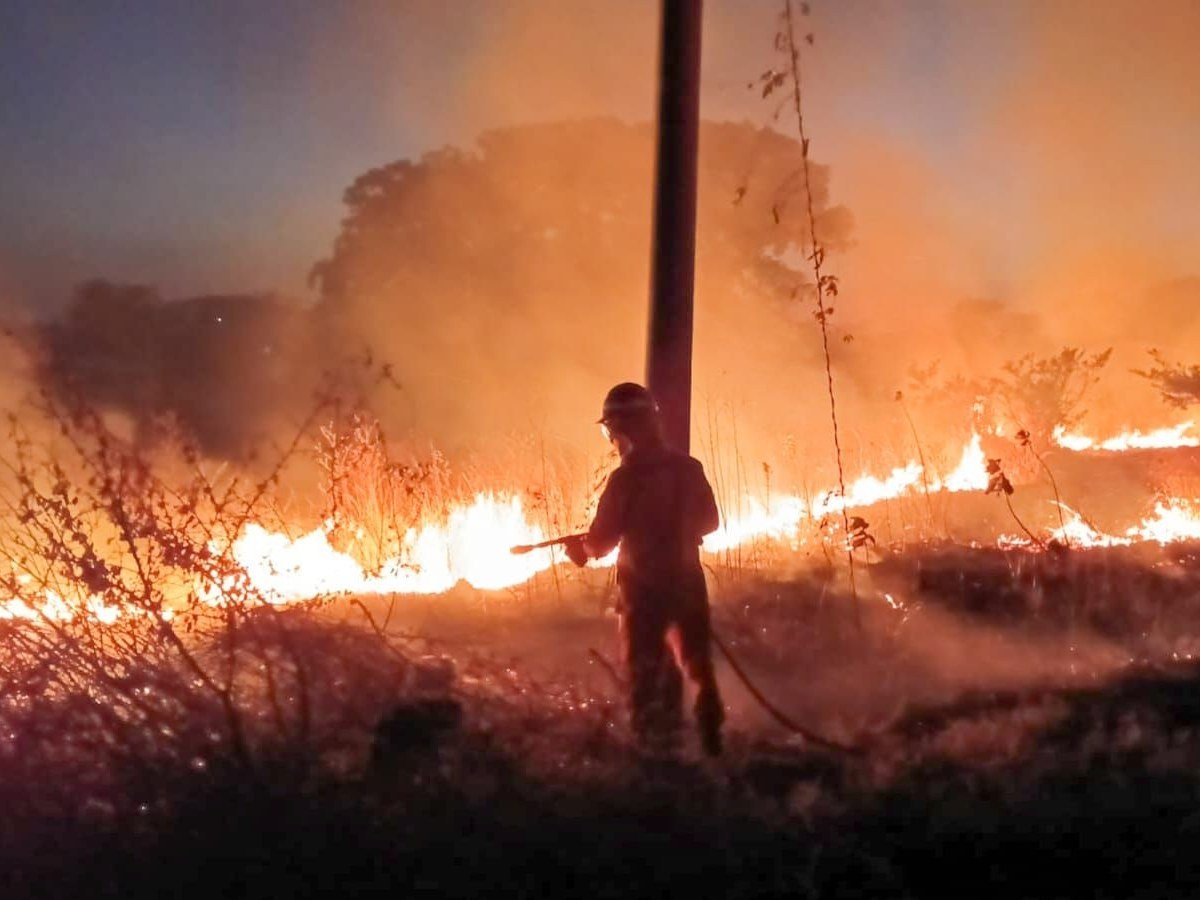 Incendios en El Salvador aumentan 65% en inicio de 2026, alerta Protección Civil