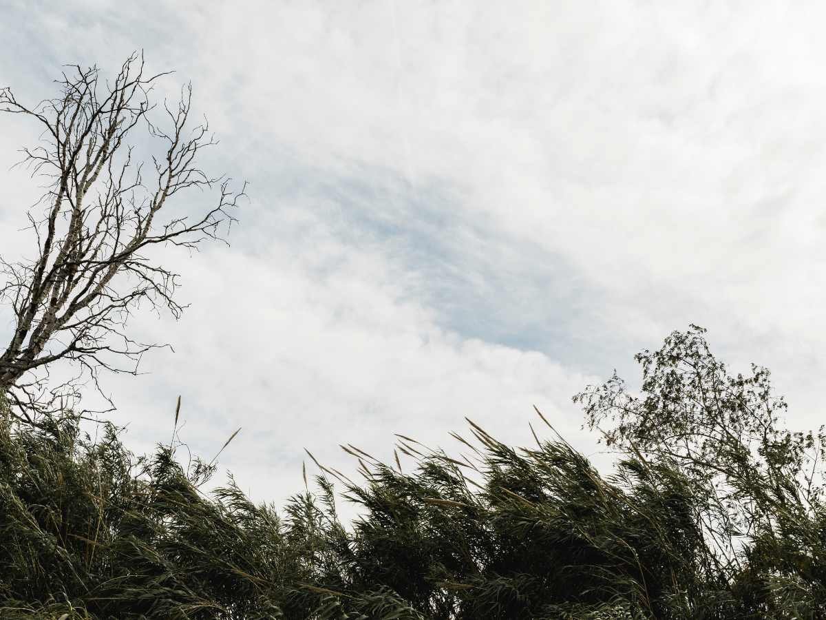 Vientos Nortes con ráfagas de hasta 90 km/h provocan descenso de temperaturas en El Salvador hasta el 26 de febrero