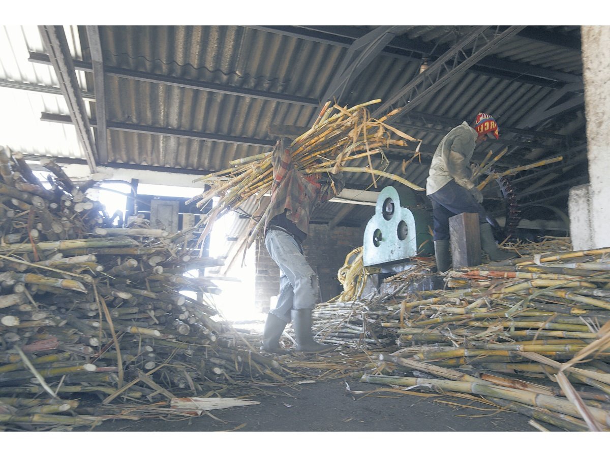 Exportaciones de El Salvador inician 2026 con sólido crecimiento del 8.5% impulsado por productos tradicionales