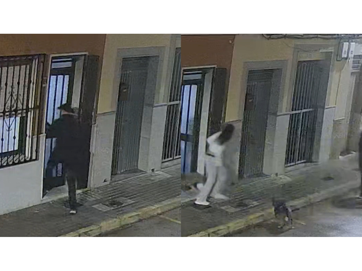 Perro frustra intento de secuestro en Valencia y principal sospechoso es capturado tras mordedura