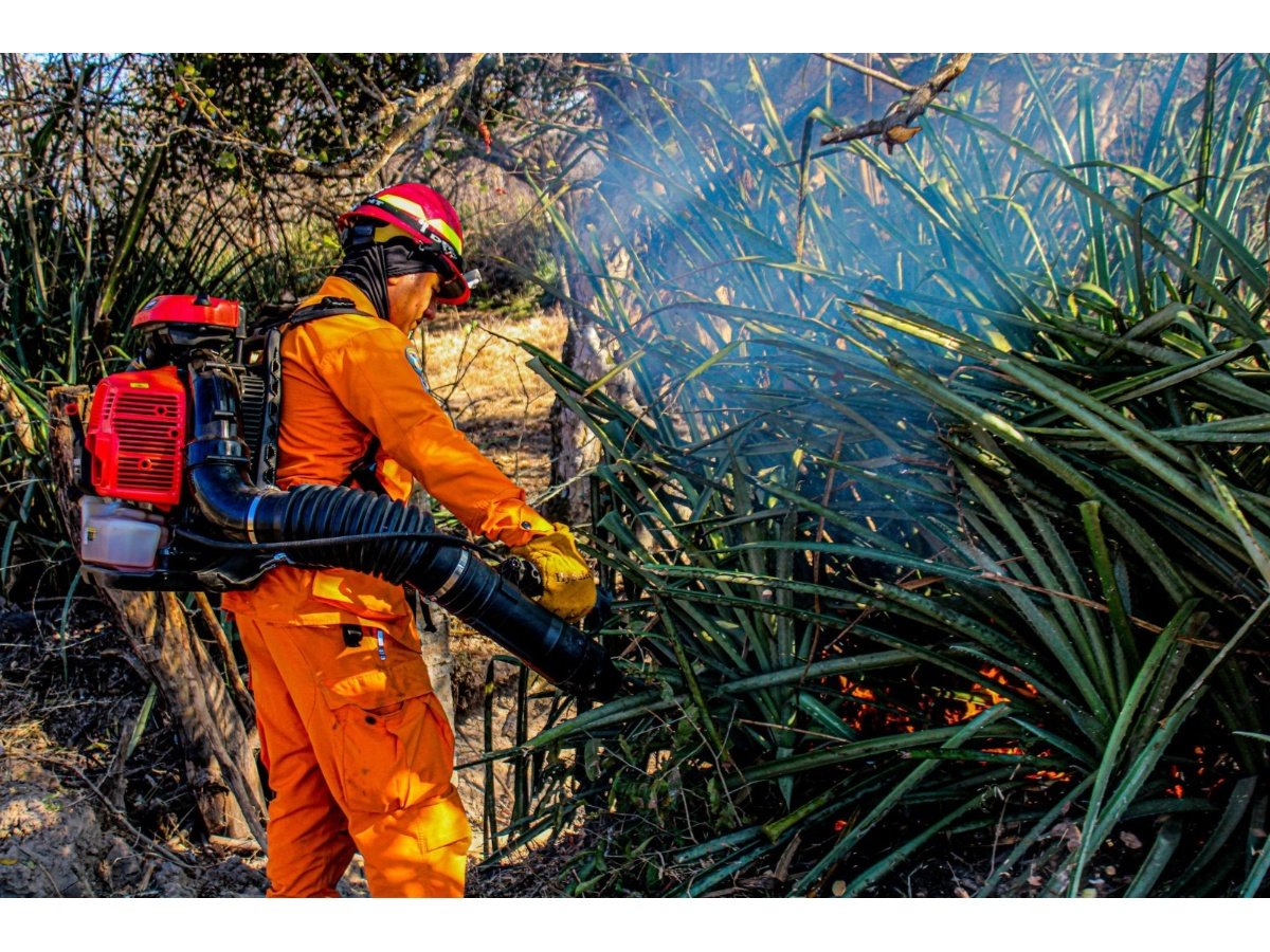Incendios en El Salvador aumentan un 83 % en los primeros dos meses de 2026