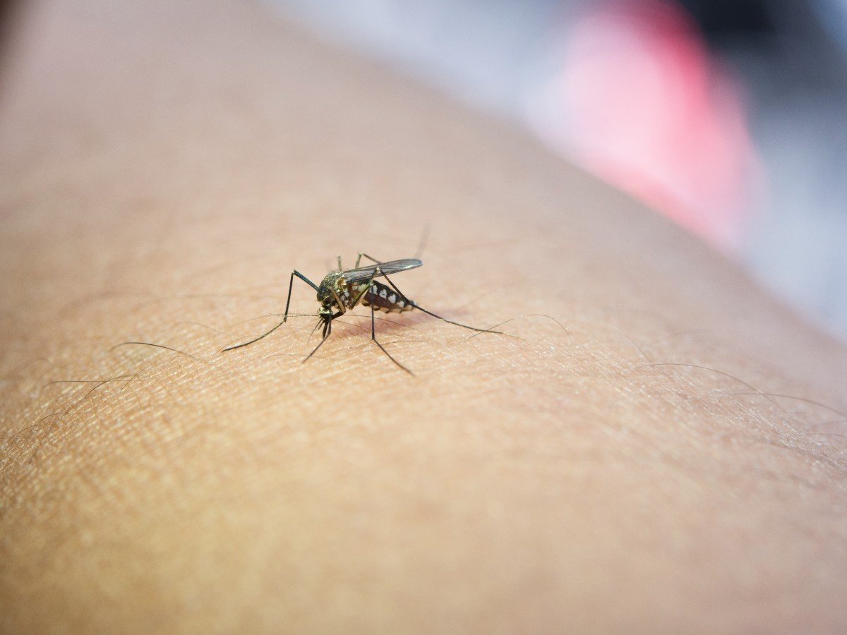 El Salvador reporta siete casos confirmados de dengue y más de mil sospechosos en 2026