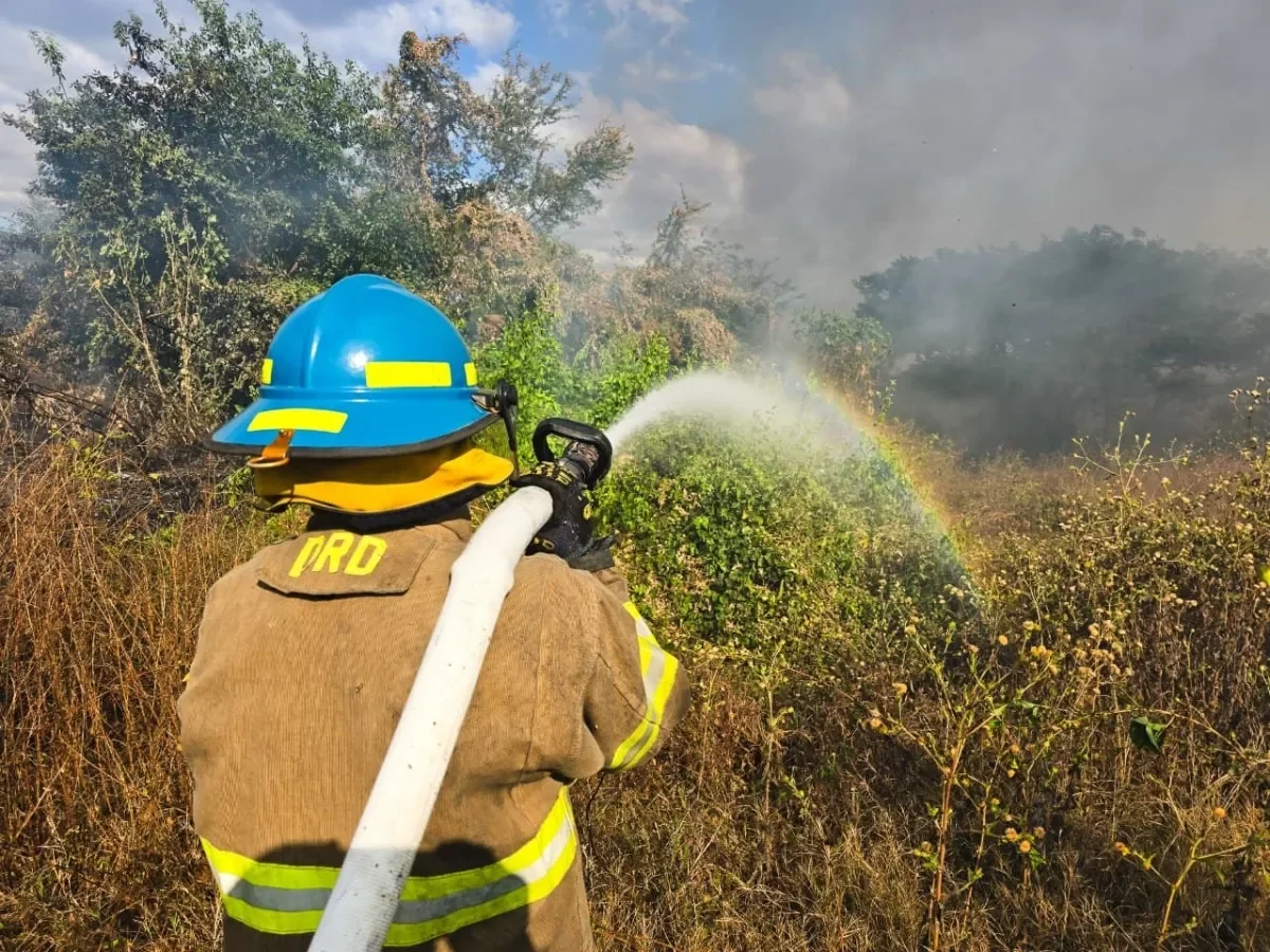 Incendios en maleza y otras emergencias aumentan casi un 100 % en El Salvador en 2026