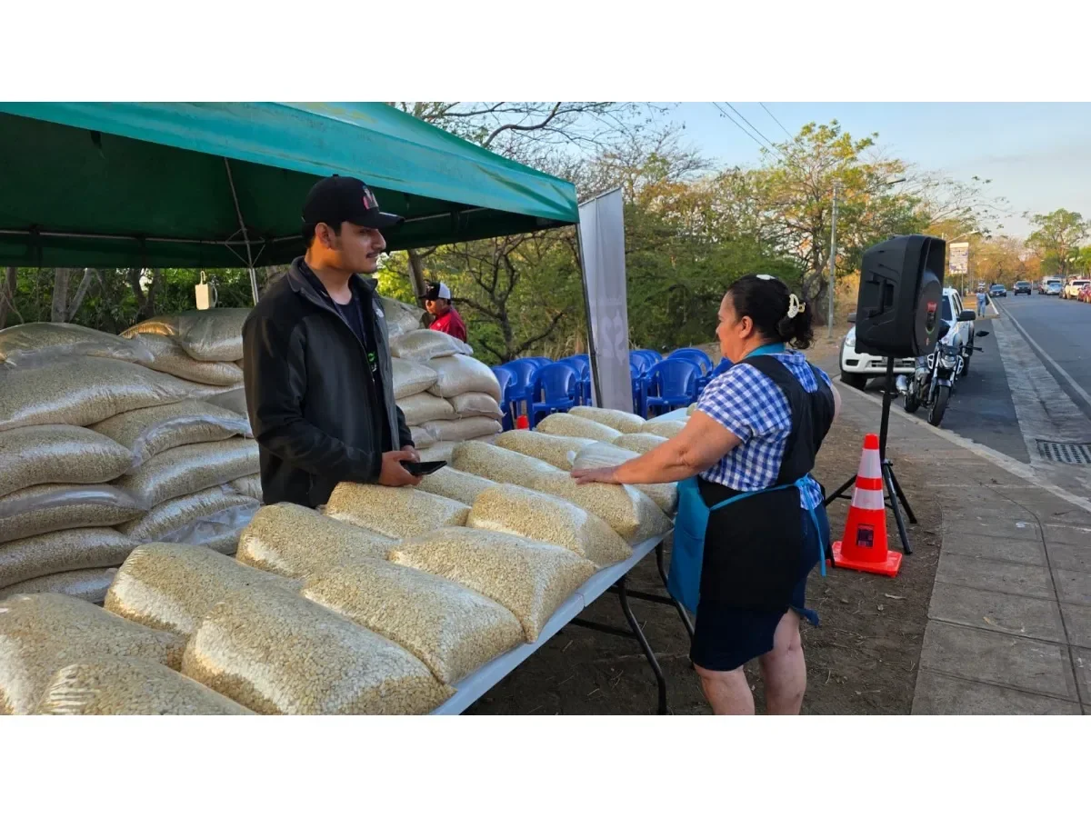 Gobierno habilita cuatro puntos de venta de maíz blanco en El Salvador para estabilizar precios
