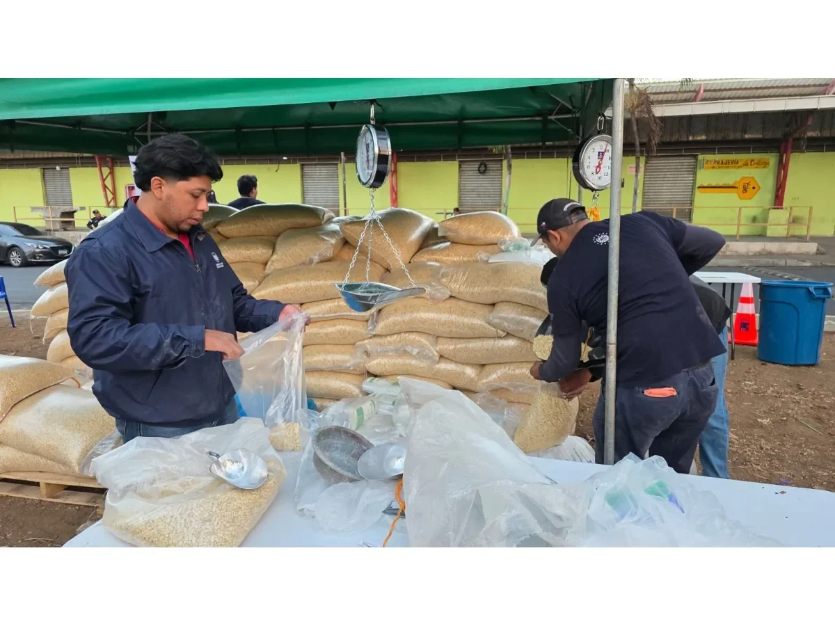 MAG establece límite de compra para maíz blanco a precio preferencial en El Salvador