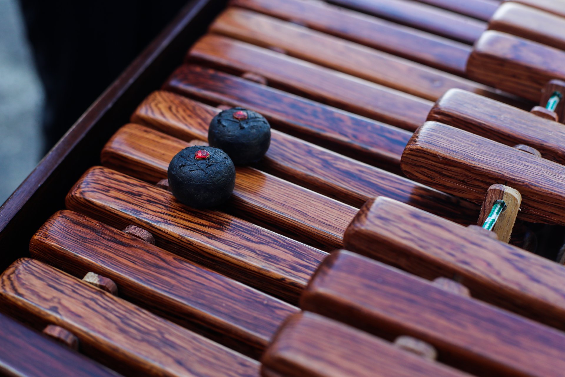 Trío Chapimarimbo fusiona marimba, piano y percusión en concierto gratuito en Club Alemán
