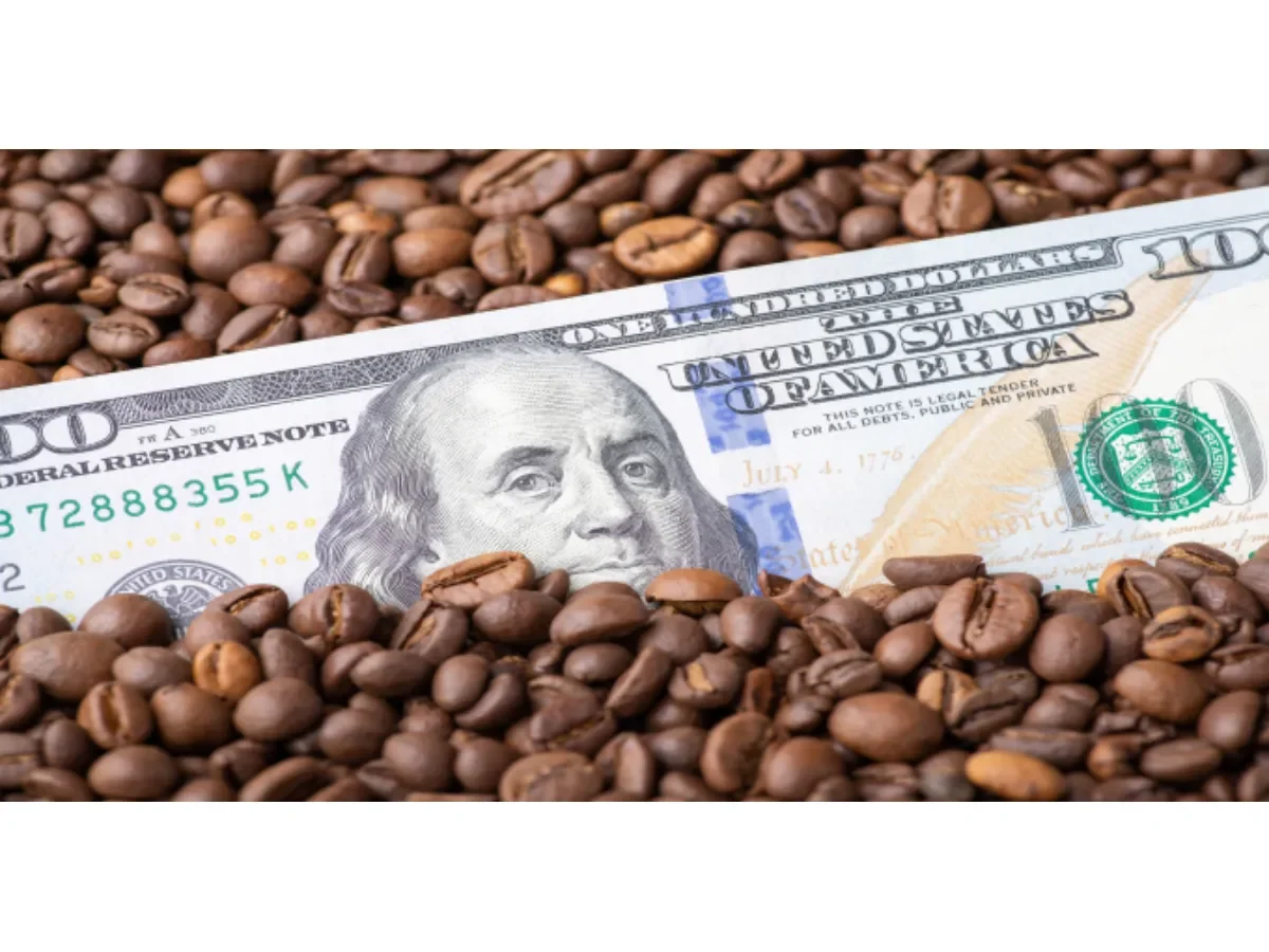 Gobierno propone reforma integral a la ley para fortalecer la comercialización del café en El Salvador