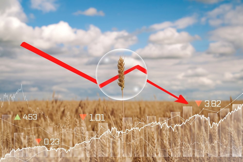 Conflicto con Irán podría generar una crisis alimentaria global y afectar a regiones vulnerables