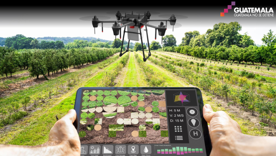 Agricultura guatemalteca impulsa la productividad con datos climáticos y tecnología