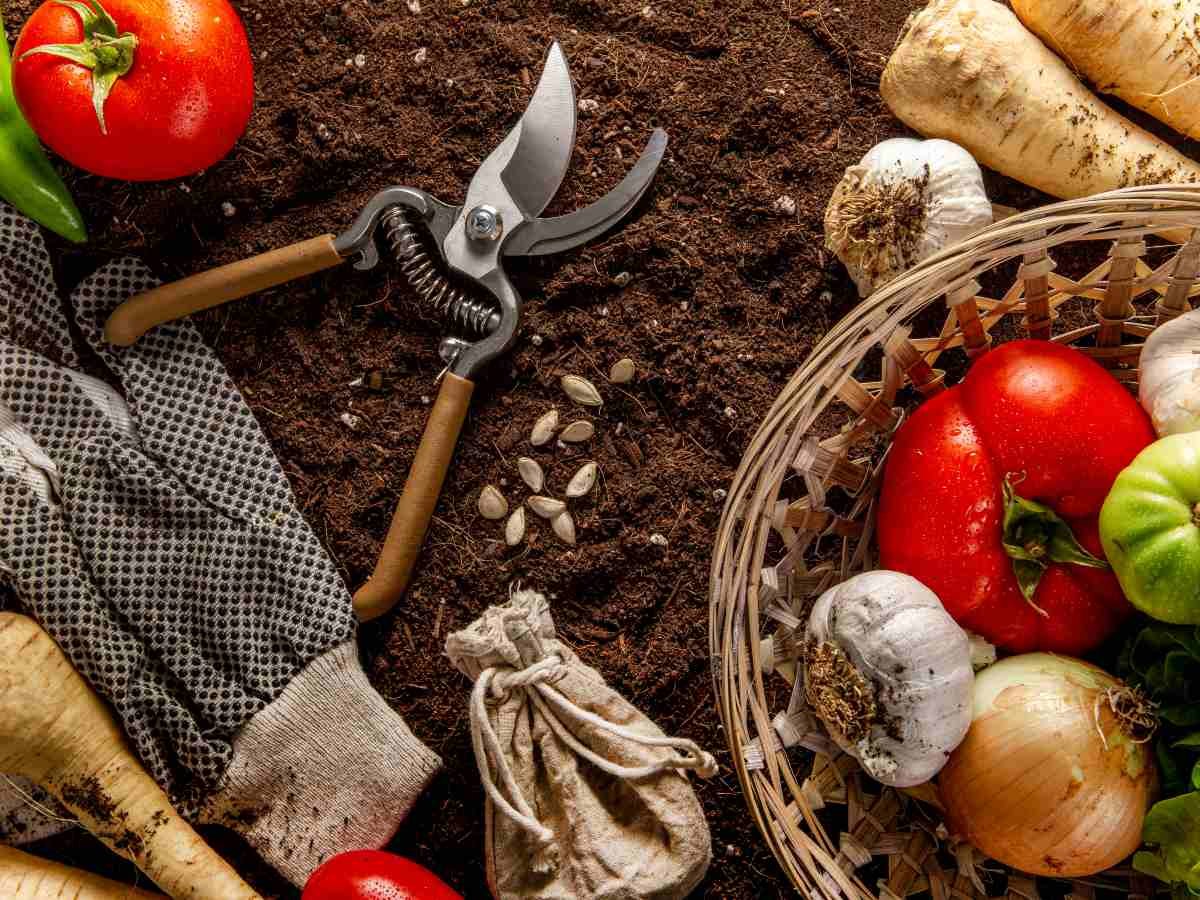 Bloqueo en el estrecho de Ormuz amenaza suministro global de fertilizantes y alimentos