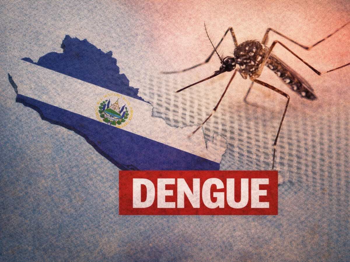 El Salvador reporta 8 casos confirmados y más de 1,190 sospechosos de dengue en 2026