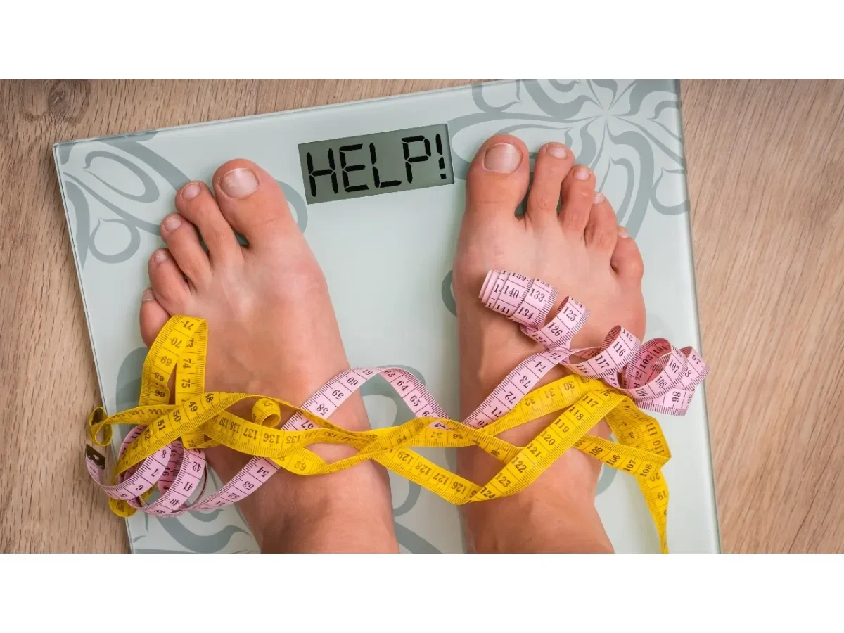 Estudio revela cómo el metabolismo de las pitones podría inspirar nuevas terapias para la pérdida de peso